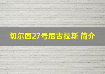 切尔西27号尼古拉斯 简介